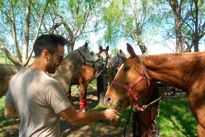 Horseback Riding Adventure with Asado in Buenos Aires! - The Practical Details That Matter