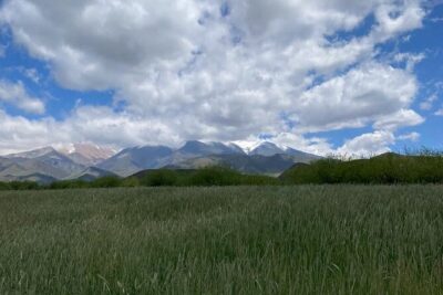 Horseback riding and barbecue in a private ranch – La Carrera, Mendoza