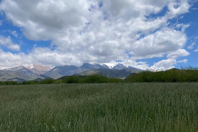 Horseback riding and barbecue in a private ranch - La Carrera, Mendoza - What makes the Andes setting special
