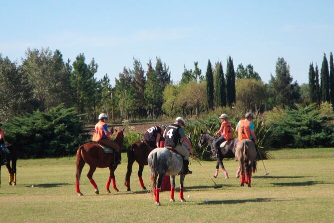 Horseback Riding and Polo in Buenos Aires - Why this makes a strong Buenos Aires day trip