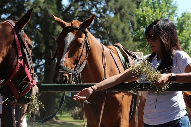 Horseback Riding and Polo in Buenos Aires - Two hours on horseback, with pace adjusted to you