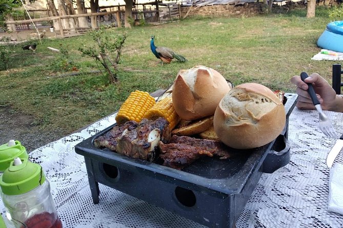 Horseback riding and roast in the mountains of Mendoza - Leaving Mendoza for the Gaucho Post