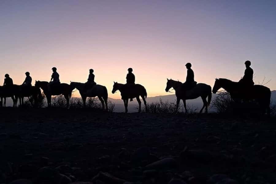 Horseback Riding at Sunset and Dinner in Mendoza - Key details before you saddle up