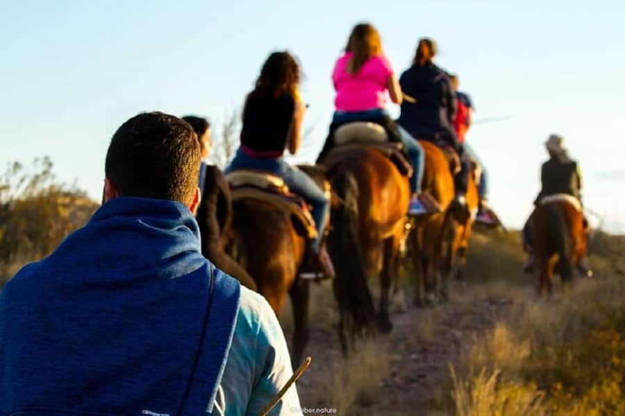 Horseback Riding at Sunset and Dinner in Mendoza - Dinner with gauchos at the estancia