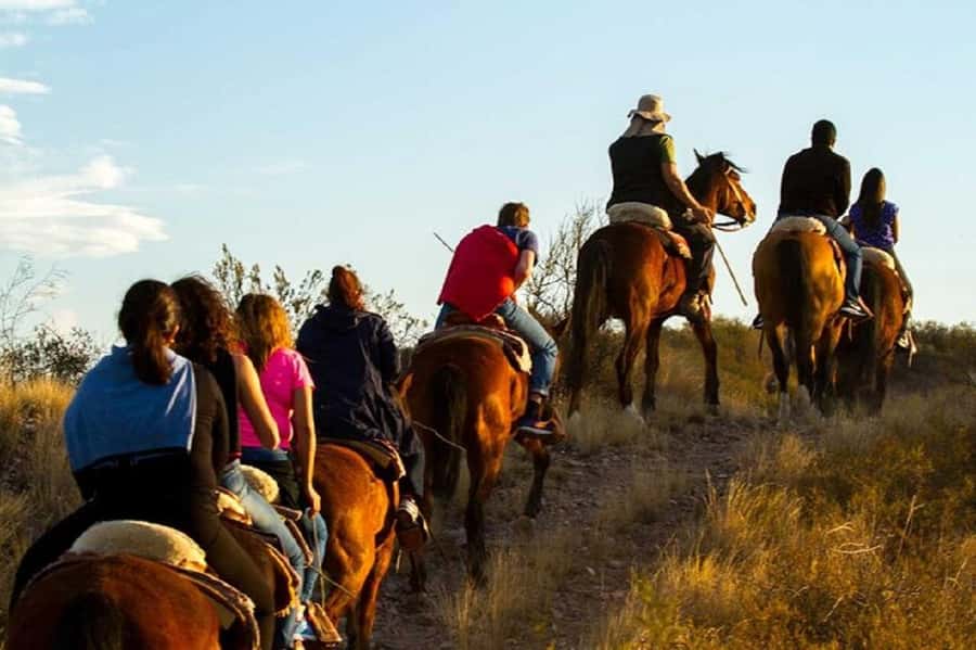 Horseback Riding at Sunset and Dinner in Mendoza - What $185 includes, and what it does not