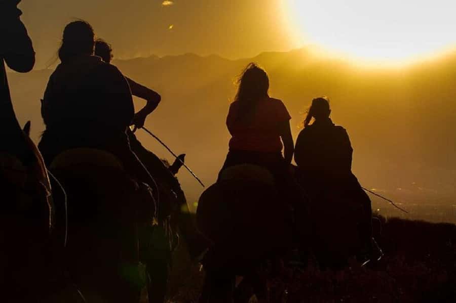 Horseback Riding at Sunset and Dinner in Mendoza - Weather, clothing, and practical limits