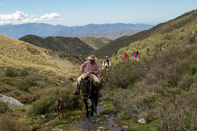 Horseback riding at sunset in the Andes - Key Points Before You Book