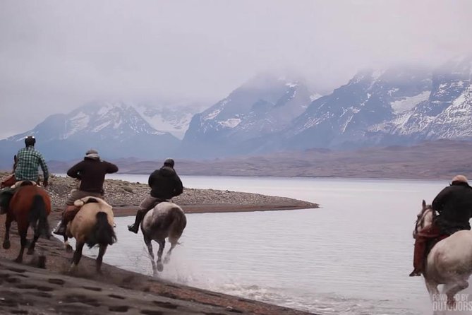 Horseback riding in Calafate - Punta Soberana and the birdlife around the bay