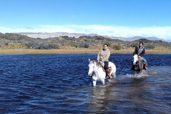 Horseback riding in Calafate - Horses, guides, and the level of instruction