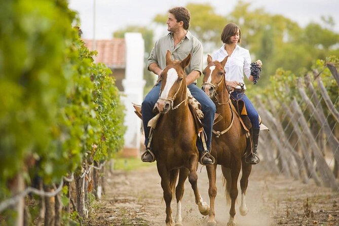 Horseback Riding in Mendoza through the vineyards and river with optional Asado. - At a Glance: What Makes This Ride Special