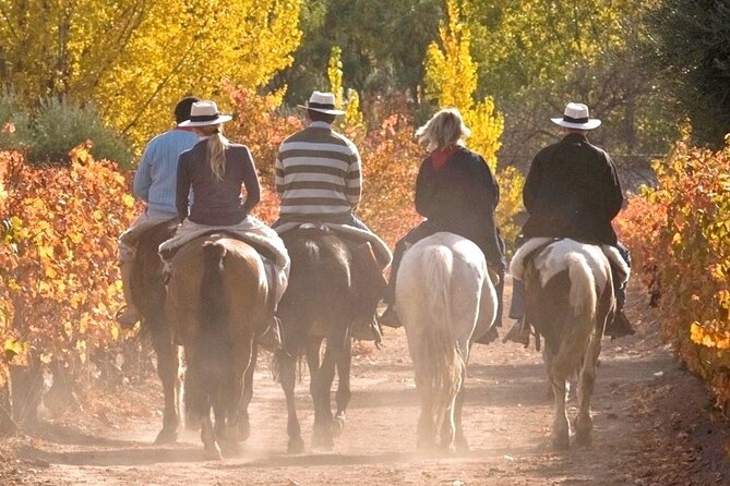 Horseback Riding in Mendoza through the vineyards and river with optional Asado. - Riding Through Lunlunta’s Vineyards