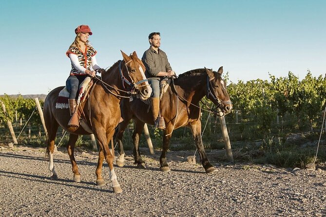 Horseback Riding in Mendoza through the vineyards and river with optional Asado. - Meeting Cesar, Elio, and Javier