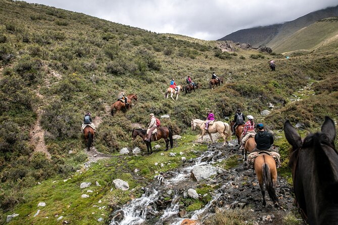 Horseback Riding in the Andes, gaucho experience & BBQ - Mate, tortas fritas, and a warm ranch welcome