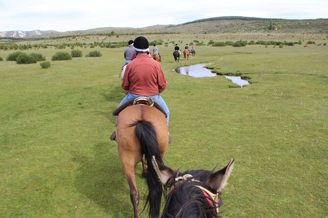 Horseback Riding with Asado in San Carlos de Bariloche, Argentina - Key points before you book