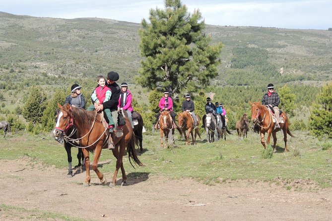 Horseback Riding with Asado in San Carlos de Bariloche, Argentina - Getting ready for a beginner-friendly ride