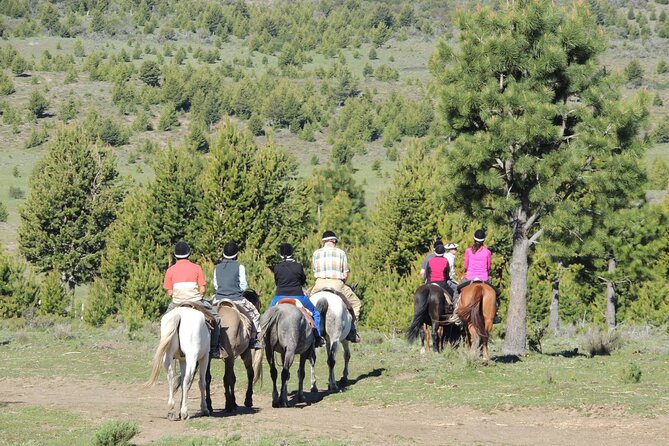 Horseback Riding with Asado in San Carlos de Bariloche, Argentina - Who should book this experience
