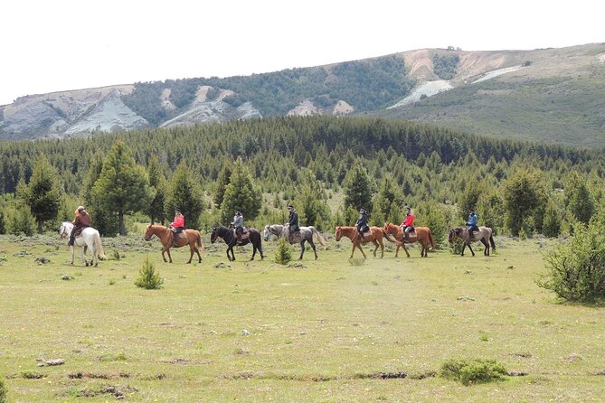 Horseback Riding with Asado in San Carlos de Bariloche, Argentina - Meeting at Esandi and Ruta Nacional 40