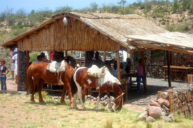 Horseback Riding with traditional Asado and Wine from Mendoza - Who should book this Mendoza horseback ride?