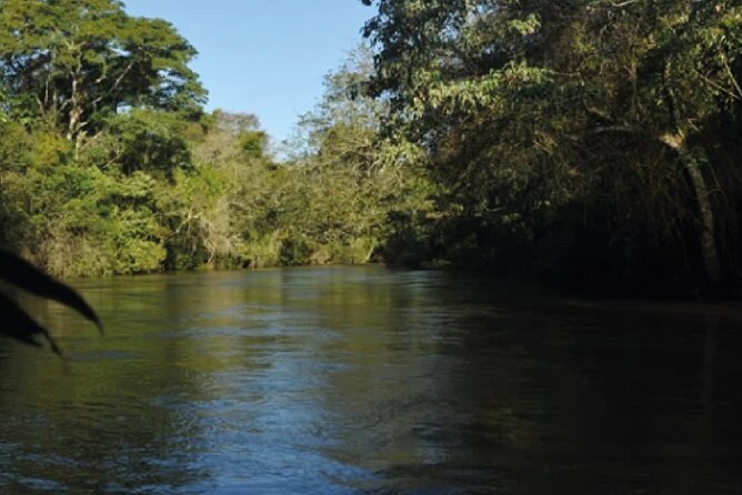 Iguazu Falls Argentina Side Tour & Return to Your Hotel by Boat - Is the boat ride worth $245?