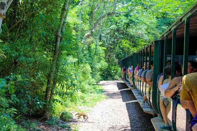 Iguazu Falls: Argentinian Side with Boat Ride, Jungle-truck and Train - Practical advice for a smoother day