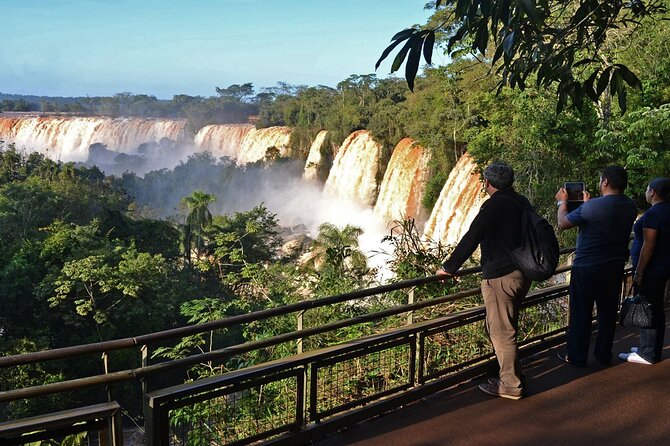 Iguazu Falls: Argentinian Side with Rainforest Ecological Train - Key Points Before You Book