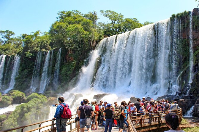 Iguazu Falls: Argentinian Side with Rainforest Ecological Train - What the Guide Adds to a Group of Up to 30