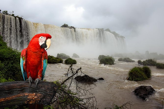 Iguazu Falls Brazilian side - A six-hour outing from Puerto Iguazú