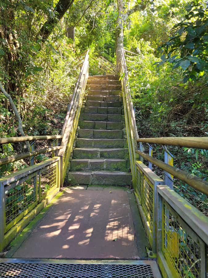 Iguazu Falls: Guided Tour in Argentinean Side - The Lower Trail And The Spray