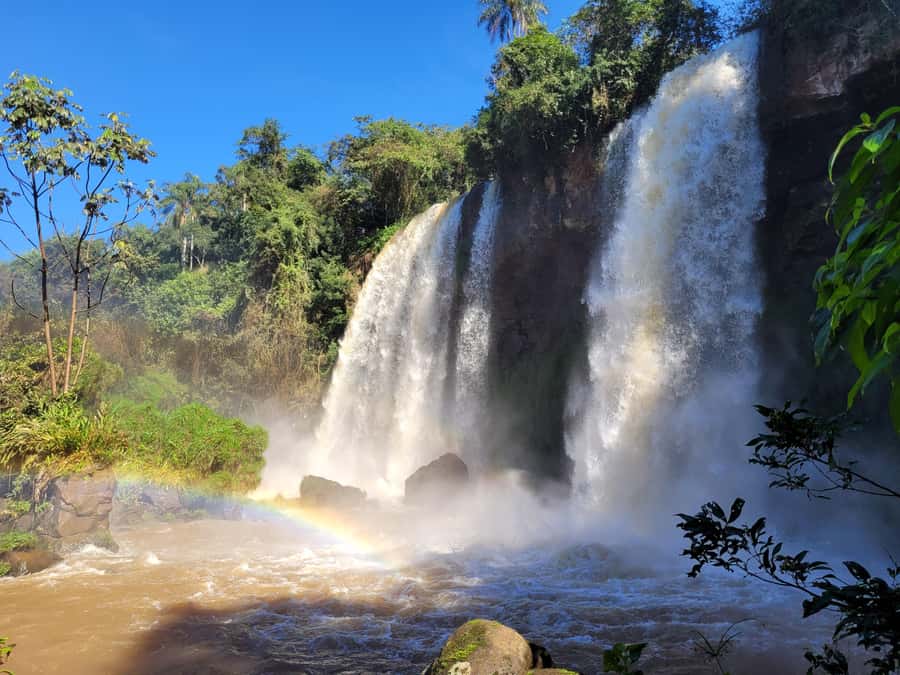 Iguazu Falls: Guided Tour in Argentinean Side - Jungle Gran Aventura: Trade A Trail For A Boat