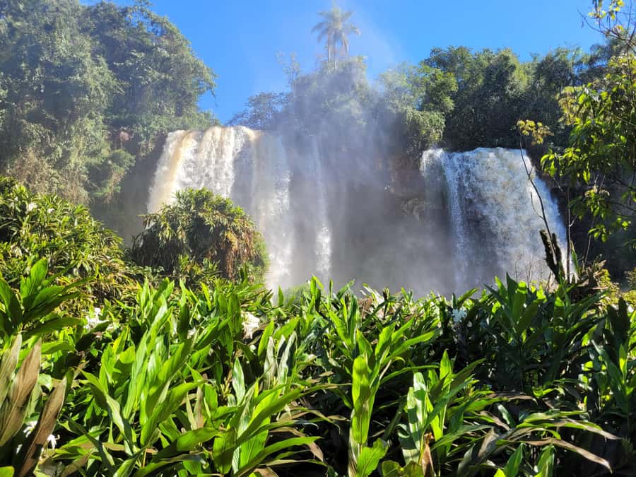 Iguazu Falls: Guided Tour in Argentinean Side - What The Guide Adds Beyond Directions