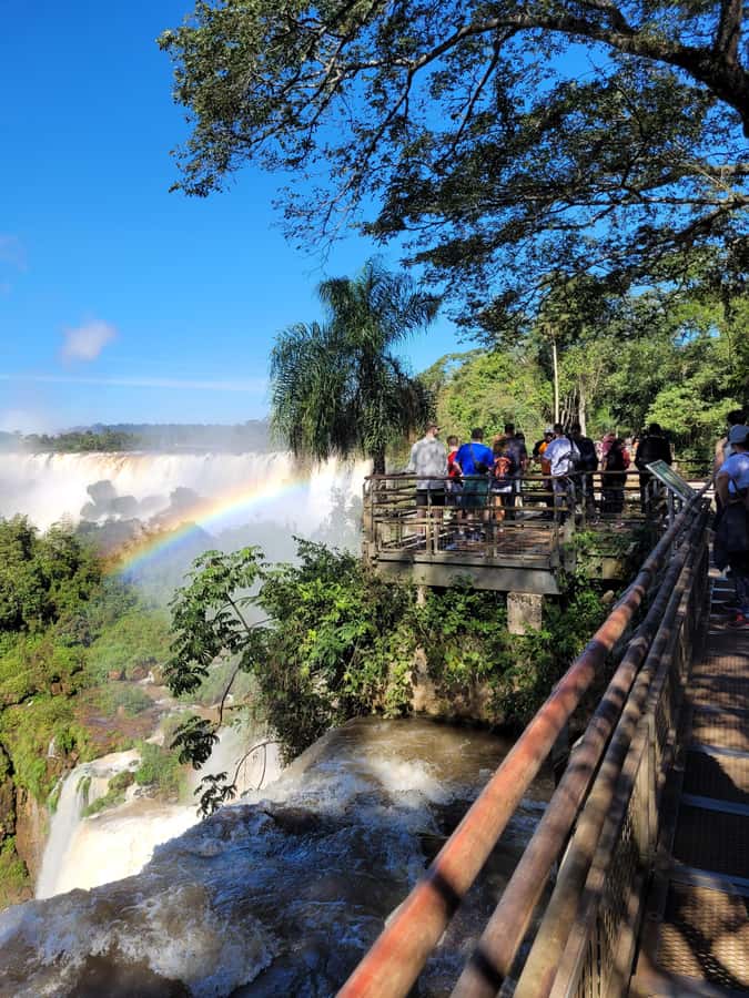 Iguazu Falls: Guided Tour in Argentinean Side - Is $245 A Good Price?