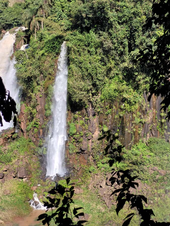 Iguazu Falls: Guided Tour in Argentinean Side - Pickup From Puerto Iguazú Or Foz Do Iguaçu