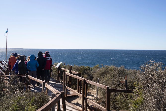 Iguazu Falls, Jungle Activities and Boat Ride from Puerto Iguazú - Five hours among the falls and jungle