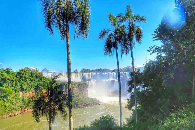 Iguazu Falls Private Tour Argentinean side with Navigation option - Food, timing, and the seven-hour limit