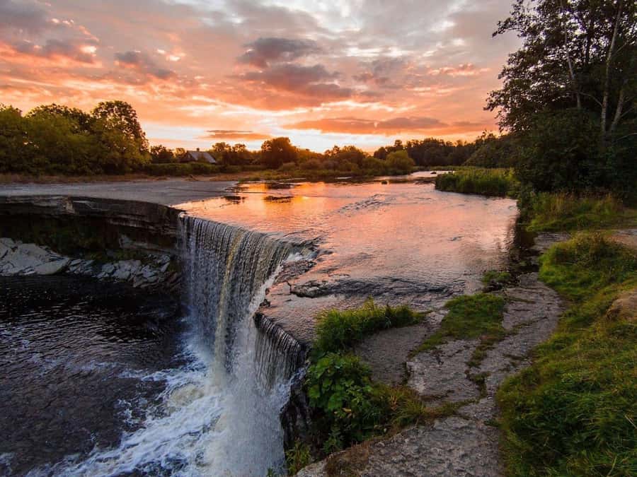 Iguazú Falls: The Natural Wonder of Argentina - What the bilingual guiding adds
