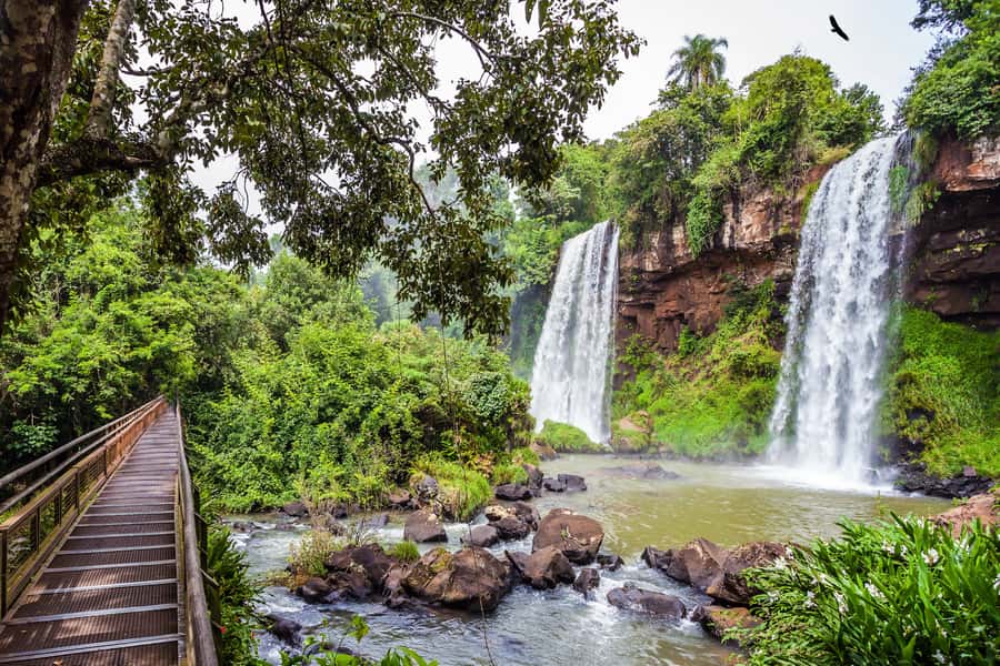 Iguazú Falls: The Natural Wonder of Argentina - Starting the day with hotel pickup