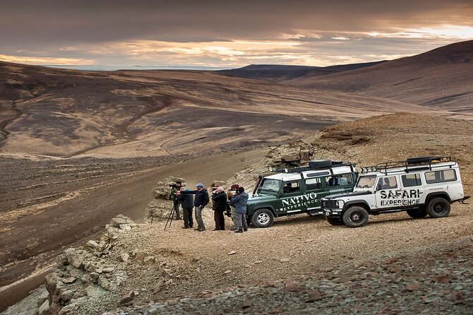 Immersive 4x4 Patagonia Safari: Dicover Flora Heritage & Wildlife - Key points to know before booking