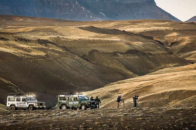 Immersive 4x4 Patagonia Safari: Dicover Flora Heritage & Wildlife - Wildlife, plants, and the quiet side of Patagonia