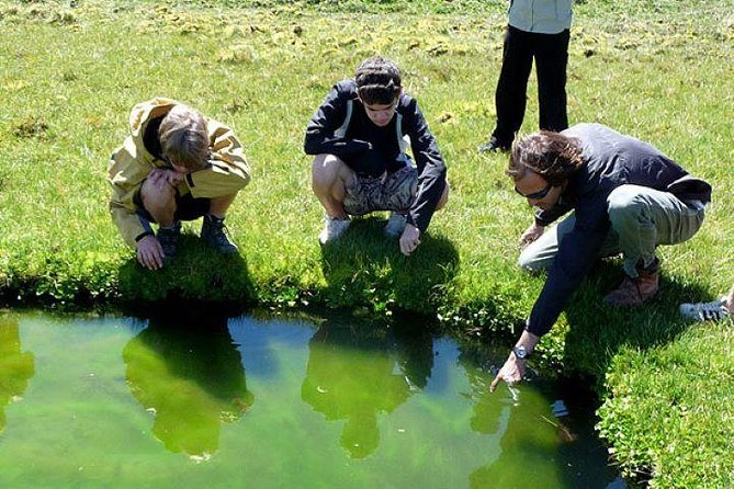 Immersive 4x4 Patagonia Safari: Dicover Flora Heritage & Wildlife - Timing, transport, and group size