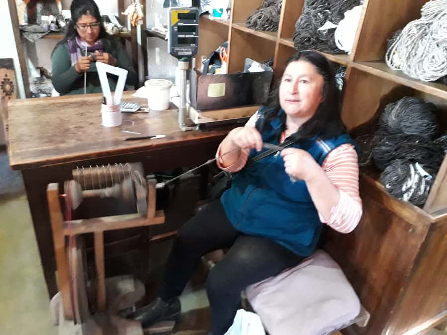 Indigenous People of Patagonia History Tour - What the $41 price gives you