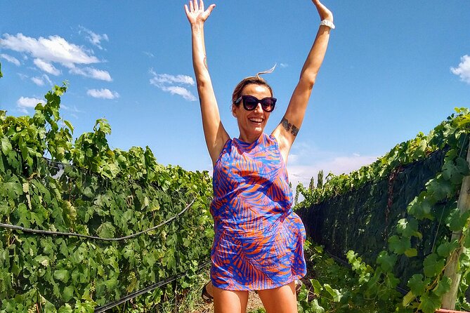 Intimate Wine Tour with Wine Pairing Lunch - Why this Mendoza wine day feels different