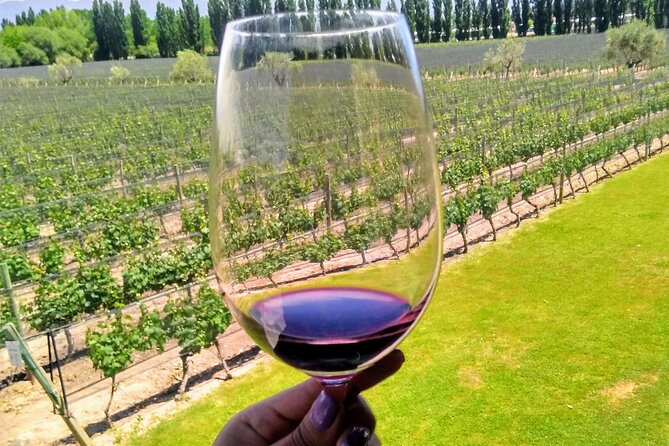 Intimate Wine Tour with Wine Pairing Lunch - MAAL Wines puts Malbec first