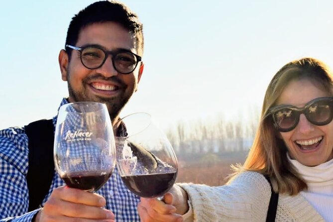 Intimate Wine Tour with Wine Pairing Lunch - Three wineries, three different ways to understand Mendoza