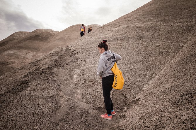 Kayak Full-Day Activity in La Leona River from El Calafate - Hiking among petrified wood and fossil beds