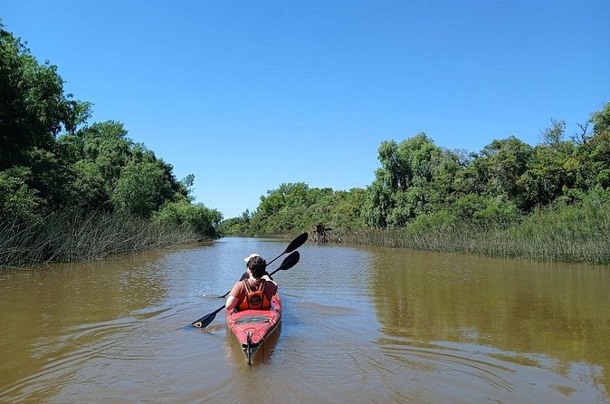 Kayaking Adventure in the Paraná River Delta - Martín’s guiding style and local context