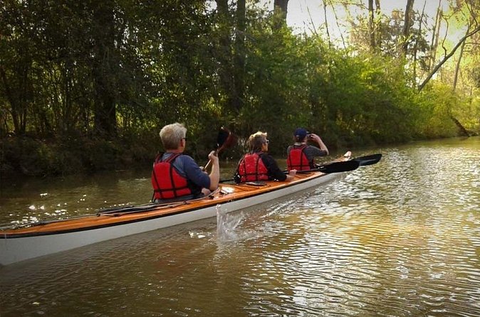 Kayaking Adventure in the Paraná River Delta - Snacks, mate, and a useful look back