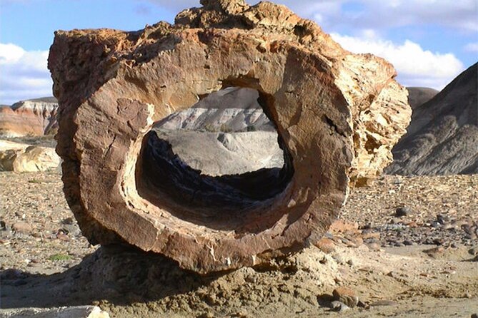 La Lioness Petrified Forest - Fossils, ancient wood, and the work of a good guide