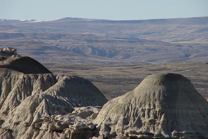 La Lioness Petrified Forest - How demanding is the walk?