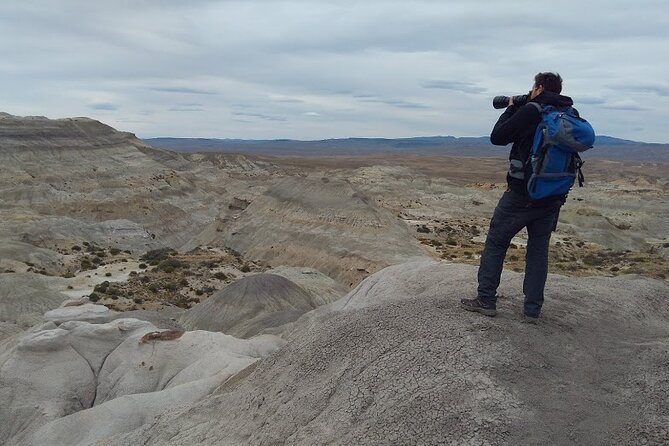 La Lioness Petrified Forest - A strong choice between El Chaltén and El Calafate