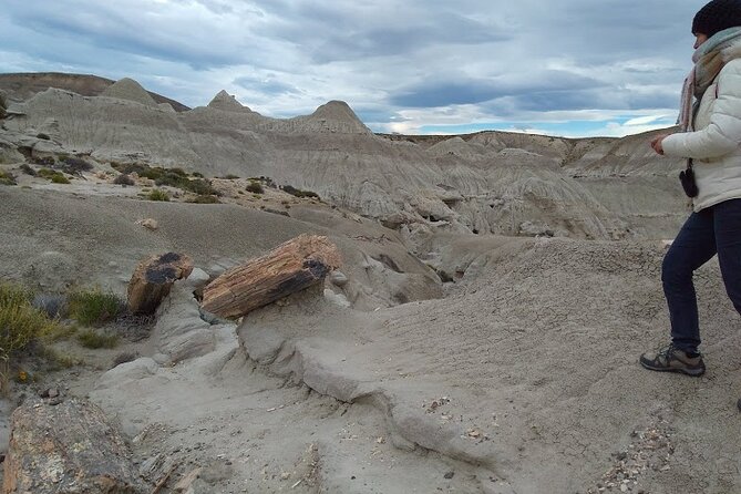La Lioness Petrified Forest - What to pack and how to prepare